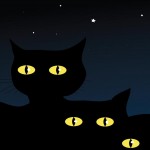 cats at night